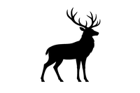 Stag Site Infrastructure